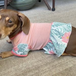 Light Pink & Mint Tropical Floral Printed Doggy Casual Onesie In Size X-Small
